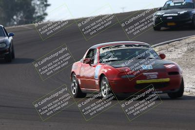 media/Feb-22-2025-CalClub SCCA (Sat) [[57201885c5]]/Group Two/Group 2B/